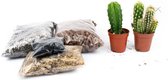 DIY Cactussen open terrarium kit  Instructies toegevoegd