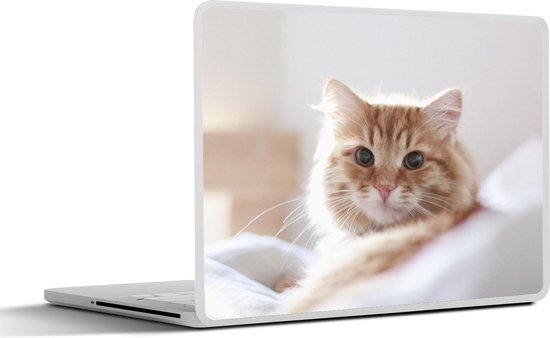Sticker pour ordinateur portable - 13,3 pouces - Gros plan chat