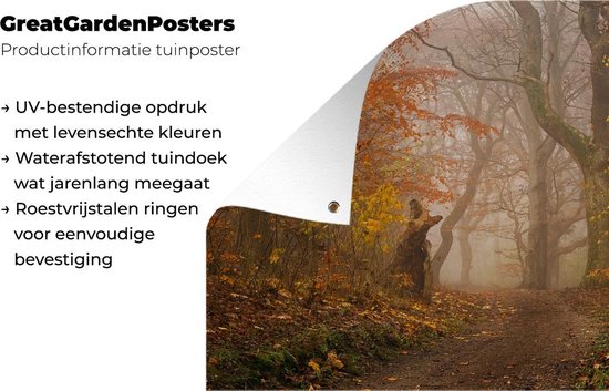 Affiche de jardin Automne - Forêt - Feuilles - 120x80 cm - Jardin