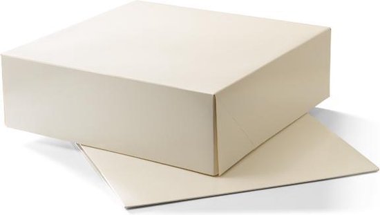 10 stuks - Taartdoos karton - 25x25x8 cm - duplex - cake doos - gebaksdoos  karton | bol.com
