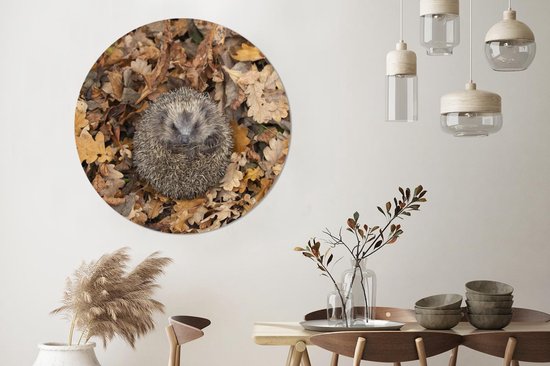 Cercle de papier peint - Hérisson - Automne - Feuilles - ⌀ 120 cm - Cercle mural - Autocollant - Sticker papier peint XXL