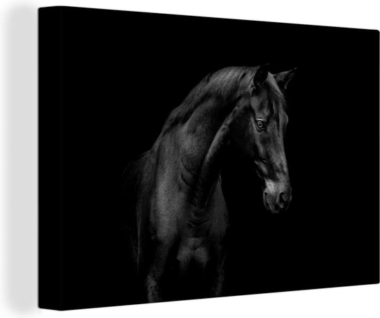 Canvas Schilderij Portret van een paard op een zwarte achtergrond - zwart wit - 120x80 cm - Wanddecoratie