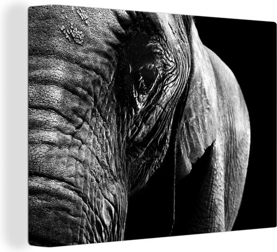 Canvas Schilderij Close-up van een olifant op een donkere achtergrond - zwart wit - 80x60 cm - Wanddecoratie