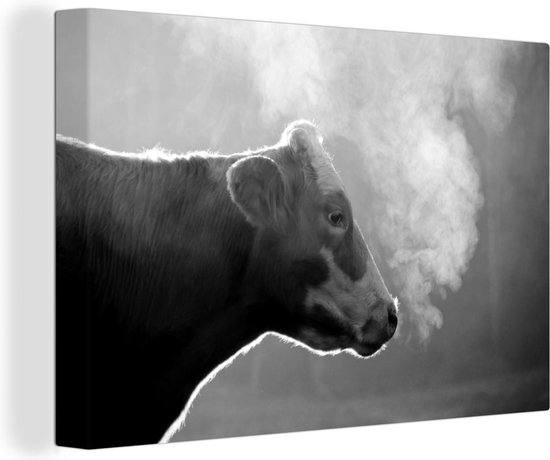 Tableau sur toile Vache au lever du soleil - noir et blanc - 120x80 cm - Décoration murale