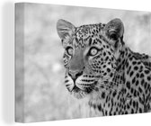 Tableau Tableau Portrait photo léopard - noir et blanc - 150x100 cm - Décoration murale