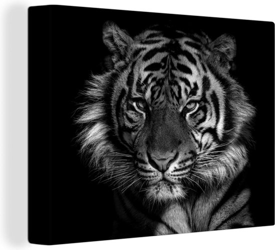 Canvas Schilderij Boze tijger op zwarte achtergrond - zwart wit - 120x90 cm - Wanddecoratie
