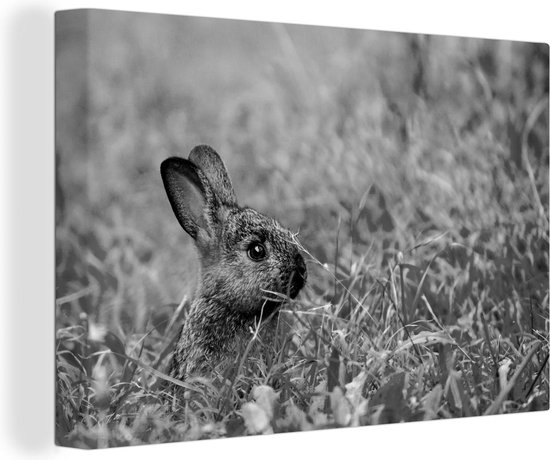 Canvas Schilderij Baby konijn zittend in het gras - zwart wit - 120x80 cm - Wanddecoratie