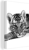 Canvas Schilderij Close-up tijger welp op witte achtergrond - zwart wit - 40x60 cm - Wanddecoratie