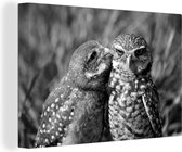 Canvas schilderij 150x100 cm - Wanddecoratie Twee liefdevolle uilen - zwart wit - Muurdecoratie woonkamer - Slaapkamer decoratie - Kamer accessoires - Schilderijen