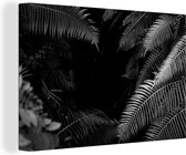 Tableau sur toile Fougères tropicales dans la forêt tropicale - noir et blanc - 120x80 cm - Décoration murale