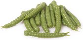 Libra Lures Slight Worm - Olive - 3.8cm - 15 Stuks - Olijfgroen