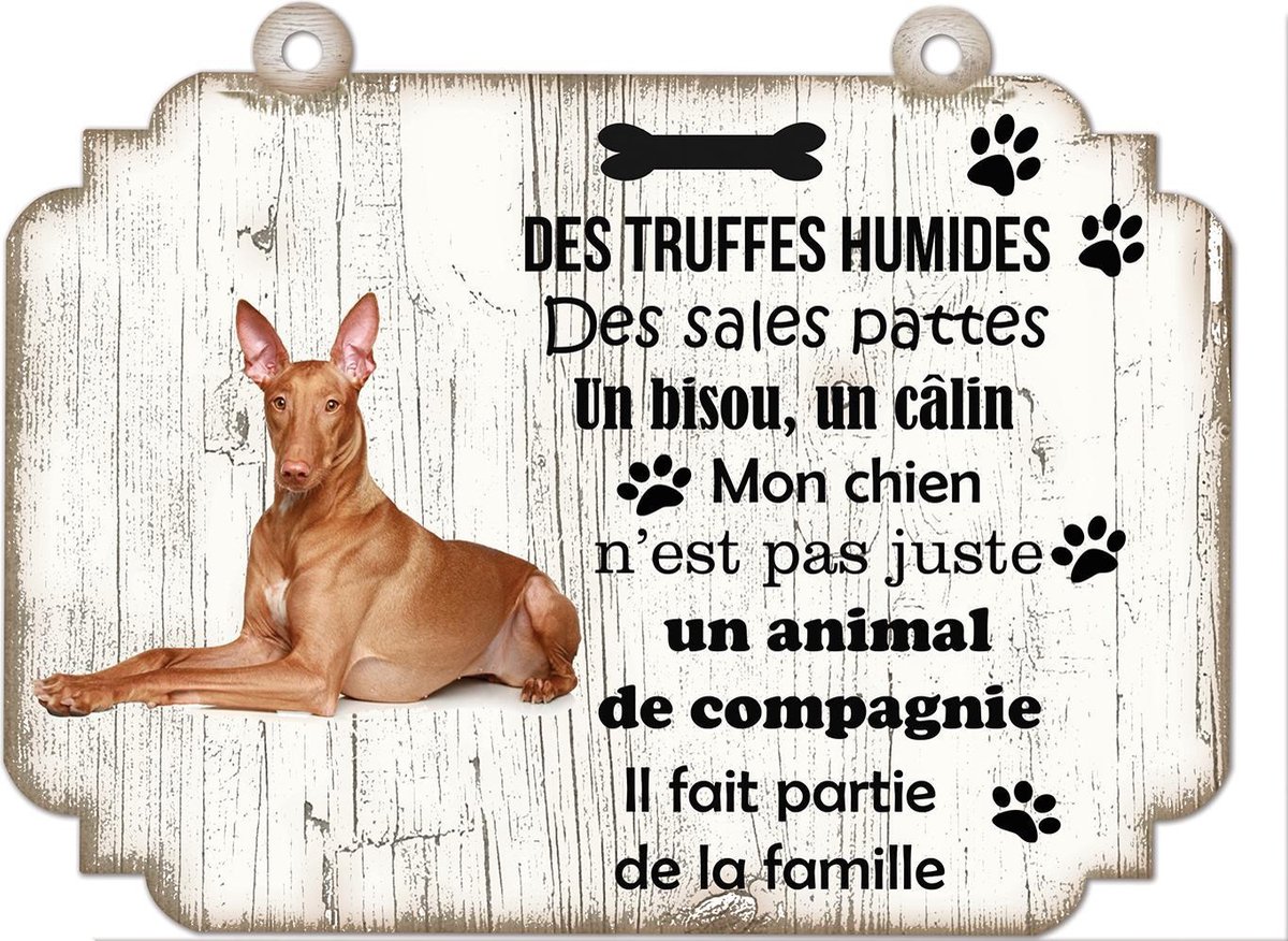 Tableau Déco - Pinscher