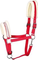 RelaxPets - Halster Lyrics - Bond Onderlegd - Harry's Horse - Fuchsia - Guilty Pleasure - Pony