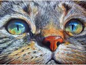Peinture au Diamond - Yeux de chat - Fabriqué aux Nederland - 50 x 70 cm - matière dibond - pierres carrées + stylo de luxe offert d'une valeur de 12,99