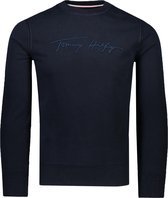 Tommy Hilfiger Trui Blauw Normaal - Maat L - Heren - Herfst/Winter Collectie - Katoen;Polyester