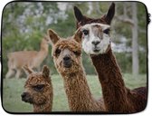 Laptophoes 15 inch 38x29 cm - Lama's & Alpaca's - Macbook & Laptop sleeve Kijkende alpaca's - Laptop hoes met foto