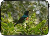 Laptophoes 13 inch - Vogel tussen de bladeren in de jungle - Laptop sleeve - Binnenmaat 32x22,5 cm - Zwarte achterkant