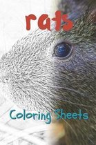 Rat Coloring Sheets