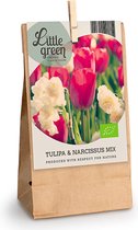 10x Tulpen en narcissen - Mix 'Zomerse Kleuren' - Biologisch - 10 bollen