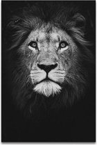 Abstract Zwart Wit Safari Dier Print Poster Wall Art Kunst Canvas Printing Op Papier Living Decoratie 50X70cm Multi-color