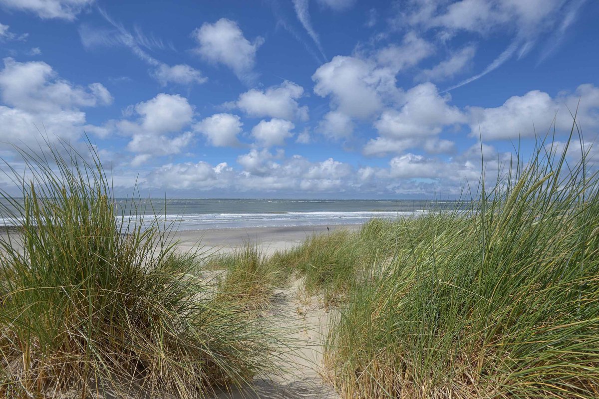 Fotobehang duinen en strand Ameland 250 x 260 cm - € 175,--