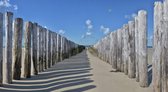 Fotobehang Burgh Haamstede palen op het strand 350 x 260 cm