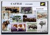 Afbeelding van het spelletje Runderen – Luxe postzegel pakket (A6 formaat) - collectie van 25 verschillende postzegels van runderen – kan als ansichtkaart in een A6 envelop. Authentiek cadeau - kado - kaart - Bovinae - herkauwers - bizon - koe - jak - antilope - buffels