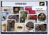 Spinnen – Luxe postzegel pakket (A6 formaat) : collectie van verschillende postzegels van spinnen – kan als ansichtkaart in een A6 envelop - authentiek cadeau - kado - geschenk - k