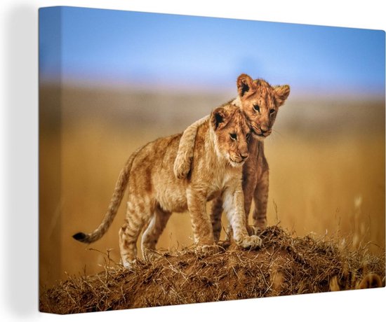 Canvas Schilderij Leeuwen - Wild - Baby - 60x40 cm - Wanddecoratie