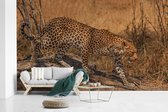 Behang - Fotobehang Cheetah - Camouflage - Takken - Breedte 385 cm x hoogte 240 cm