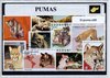 Afbeelding van het spelletje Puma's – Luxe postzegel pakket (A6 formaat) : collectie van verschillende postzegels van puma's – kan als ansichtkaart in een A6 envelop - authentiek cadeau - cadeau - geschenk - kaart - Panthera  poema - staart - zilverleeuw - roofier - bergleeuw
