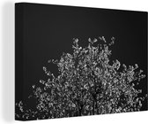Tableau sur toile Fleurs - Arbre - Branches - 90x60 cm - Décoration murale