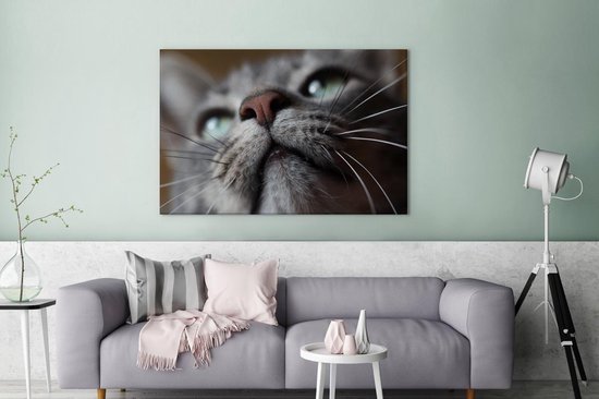Peintures sur Toile Chat - Nez - Moustaches - 120x80 cm - Décoration murale