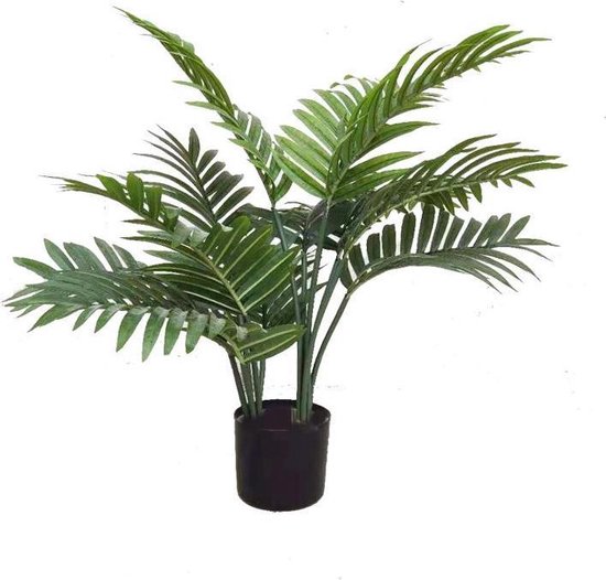 VeriNatural