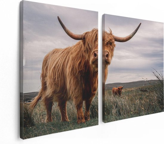 Artaza - Diptyque de peinture sur toile - Cows Highlander écossais dans le pâturage - 120 x 80 - Photo sur toile - Impression sur toile