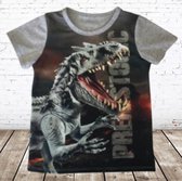 Jongens T-shirt Dinosaurus JM805 -s&C-122/128-t-shirts jongens