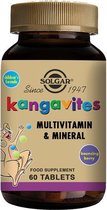 Kangavites multi Solgar Bosvruchten (60 tabletten)