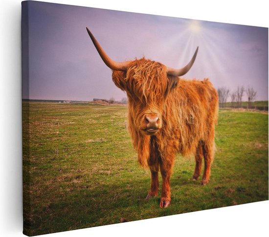 Artaza Canvas Schilderij Bruine Schotse Hooglander Koe - Kleur - 90x60 - Foto Op Canvas - Canvas Print - Muurdecoratie