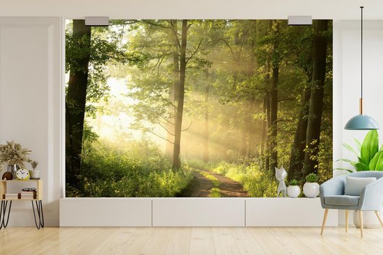 Papier peint - Papier peint photo Forêt - Soleil - Arbres - Largeur 420 cm x hauteur 280 cm