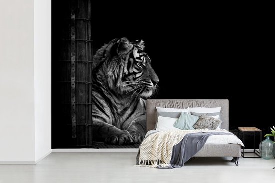 Papier peint - Papier peint photo Tigre - Zwart - Wit - Séance photo - Largeur 360 cm x hauteur 240 cm