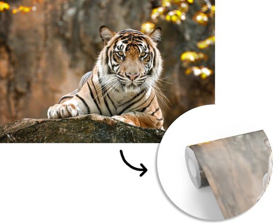 Papier Peint - Papiers Papier peint photo Tigre - Rochers - Feuilles - Largeur 420 cm x Hauteur 280 cm
