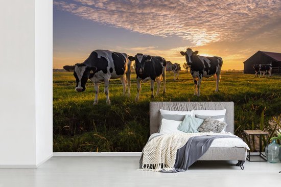 Papier peint - Papier peint photo Vache - Animal - Pâturage - Largeur 390 cm x hauteur 260 cm