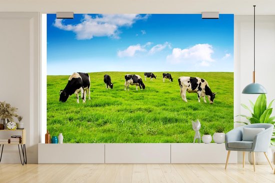 Papier peint - Papier peint photo Vache - Herbe - Ciel - Largeur 390 cm x Hauteur 260 cm