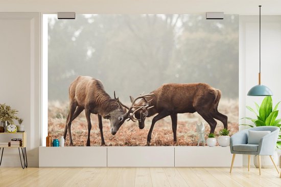 Papier peint - Papier peint photo Cerf - Forêt - Herbe - Largeur 330 cm x hauteur 220 cm