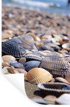Stickers Stickers muraux - Coquillages - Plage - 80x120 cm - Film adhésif