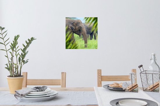 Stickers muraux - Film autocollant - Éléphant - Palmier - Animaux - 30x30 cm - Film adhésif - Stickers muraux chambre enfant - Papier peint autocollant - Papier peint autocollant - Film autocollant