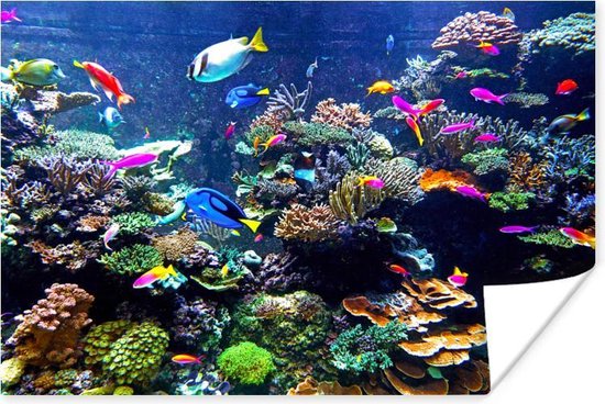Poster Koraal - Vis - Aquarium - 30x20 cm - Kerstversiering - Kerstdecoratie voor binnen - Kerstmis