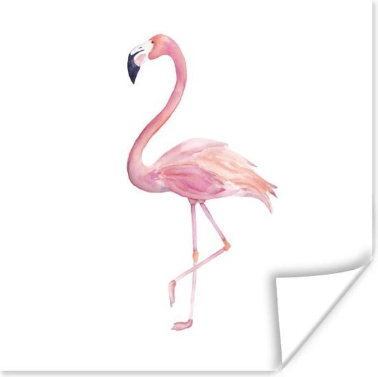 Affiche Flamingo - Ressorts - Rose - 75x75 cm