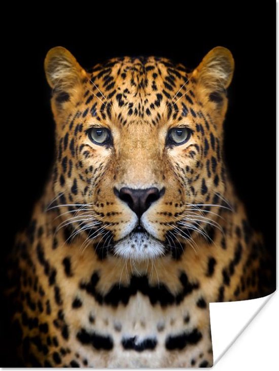 Poster Panter - Dieren - Zwart - 120x160 cm XXL