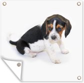 Tuin poster Puppy - Beagle - Bruin - Wit - 200x200 cm - Tuindoek - Buitenposter